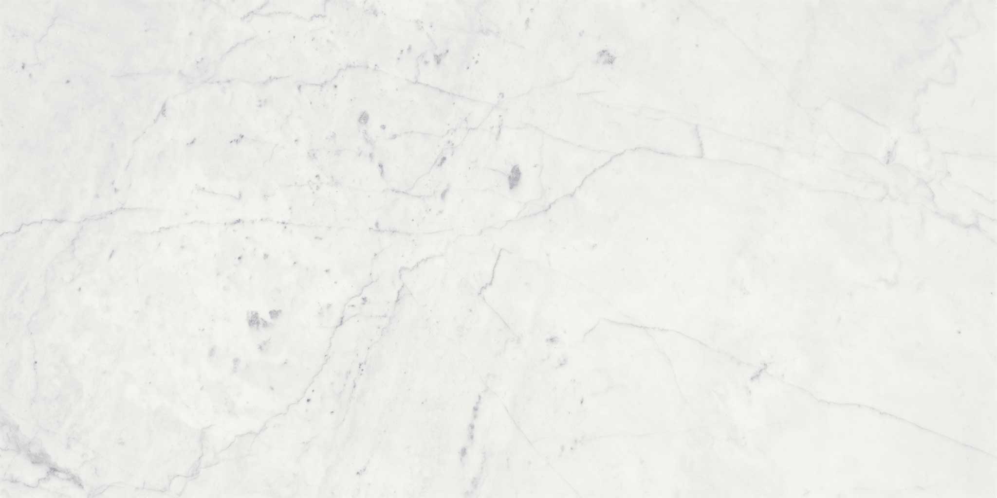 Eterna Bianco 18x36 Polished | Macar's Interiors