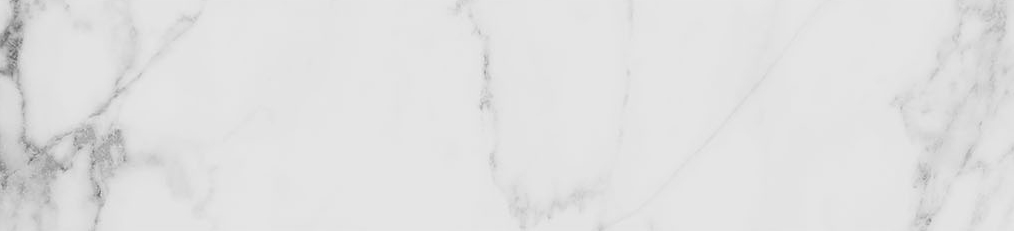 Obsession 2.5x10 Carrara | Macar's Interiors