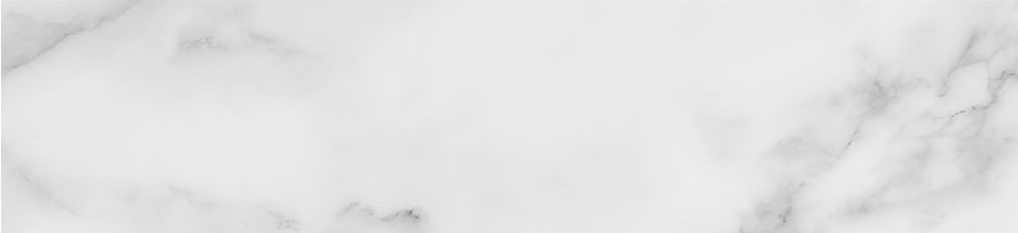 Obsession 2.5x10 Carrara | Macar's Interiors