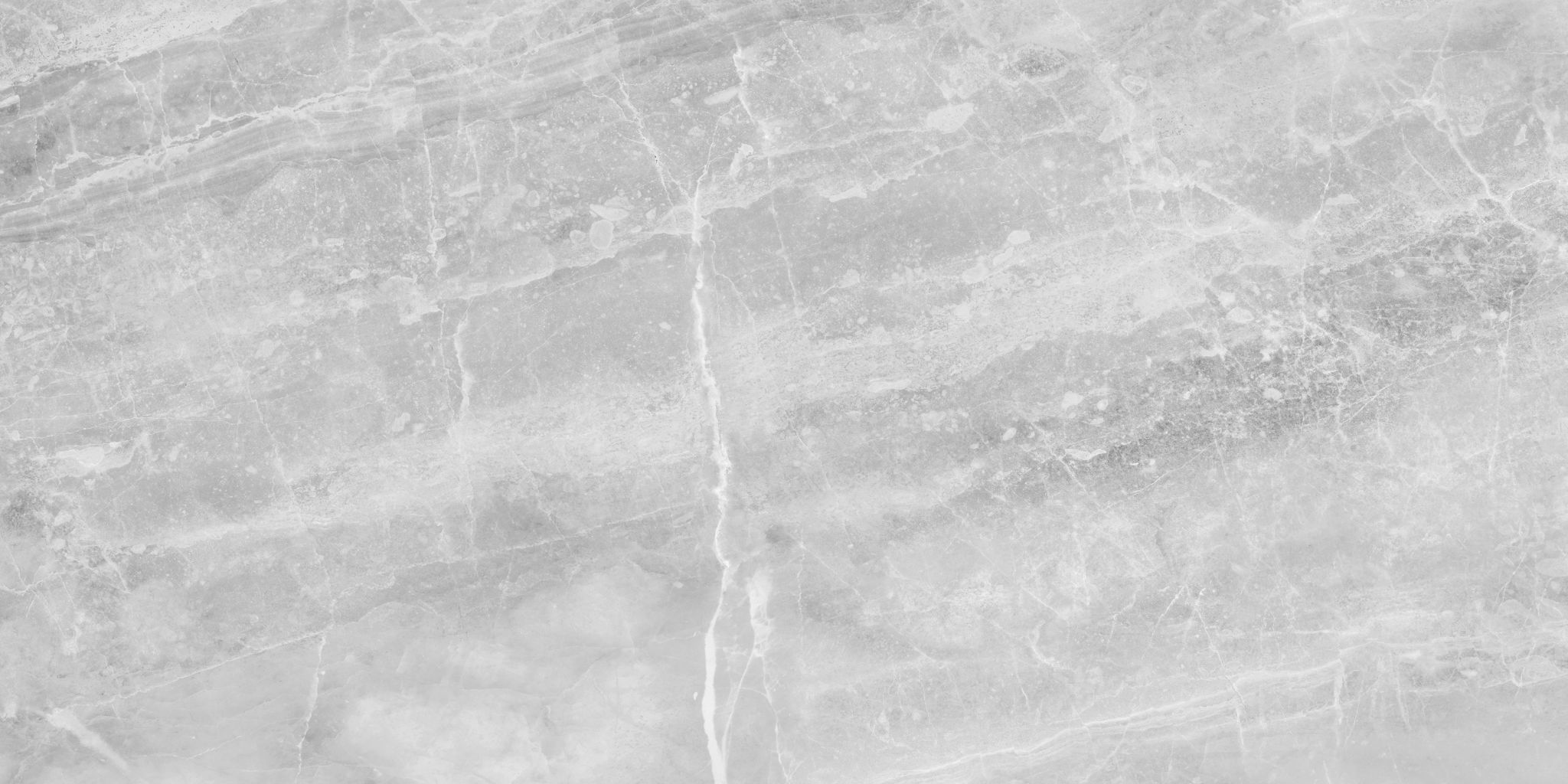 Plata 12x24 Perla Grigia Matte | Macar's Interiors