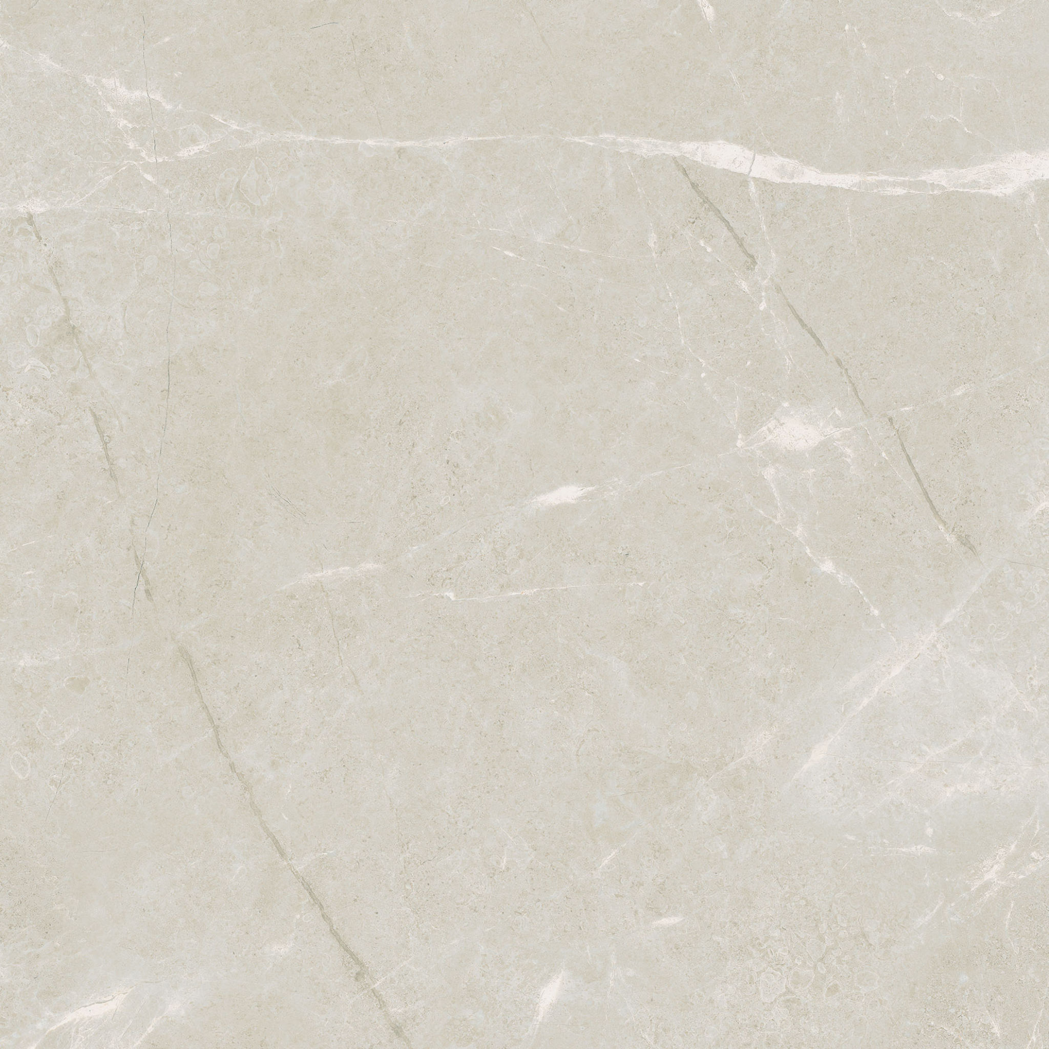 Torino 20x20 Avorio | Macar's Interiors
